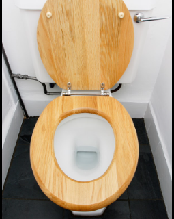 Wood toilet seat