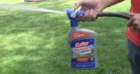 Spraying Cutter Backyard Bug Control