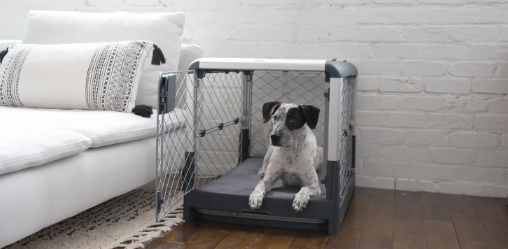 Dog Crate in Bedroom or Living Room