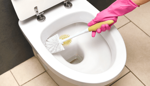 Using the correct toilet brush