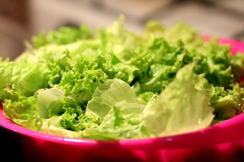 How Long Can Lettuce Sit Out? Shelf Life and Storage Tips