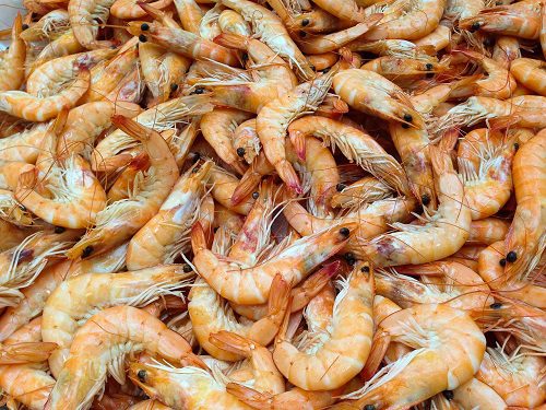 Is Shrimp a Meat? Exploring the Debate