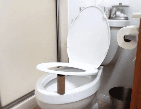 Toilet Paper Roll Under the Toilet Seat