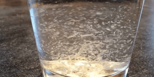 What Happens If You Accidentally Drink Moldy Water 2