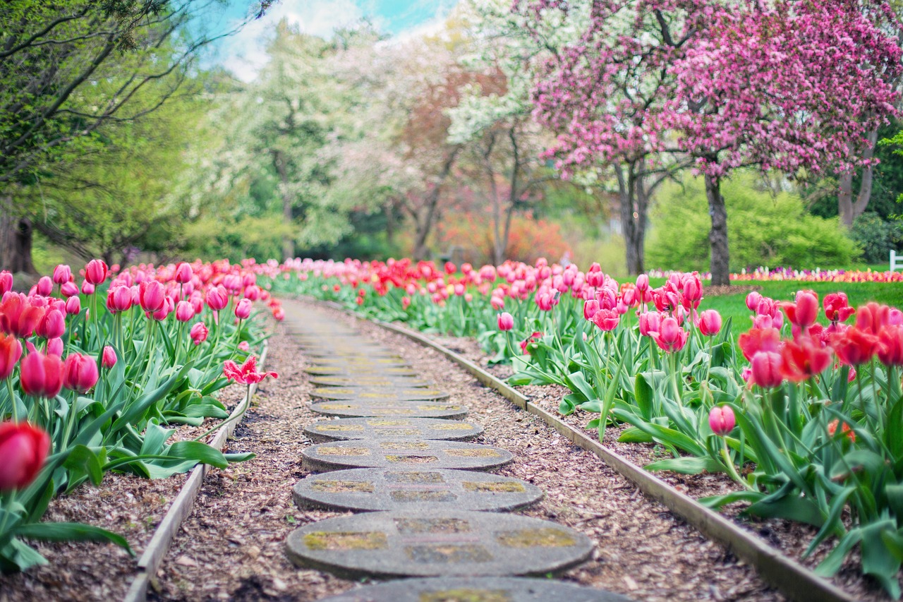 DIY Walkway Ideas