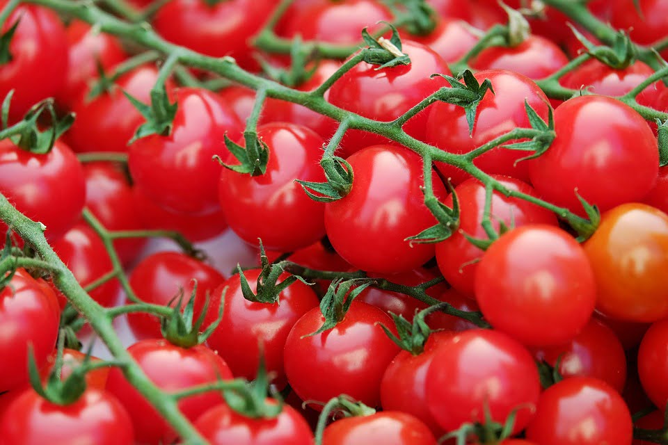 Tricks to Grow More Tomatoes