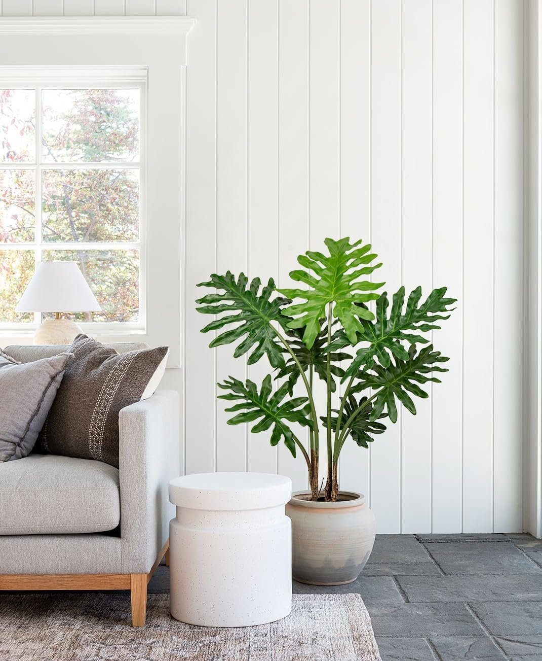 Gallery Detail: Green Your Space 17 Calming Indoor Plants For Stress Free