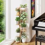 Plant Décor Ideas for Living Room Corners and Walls