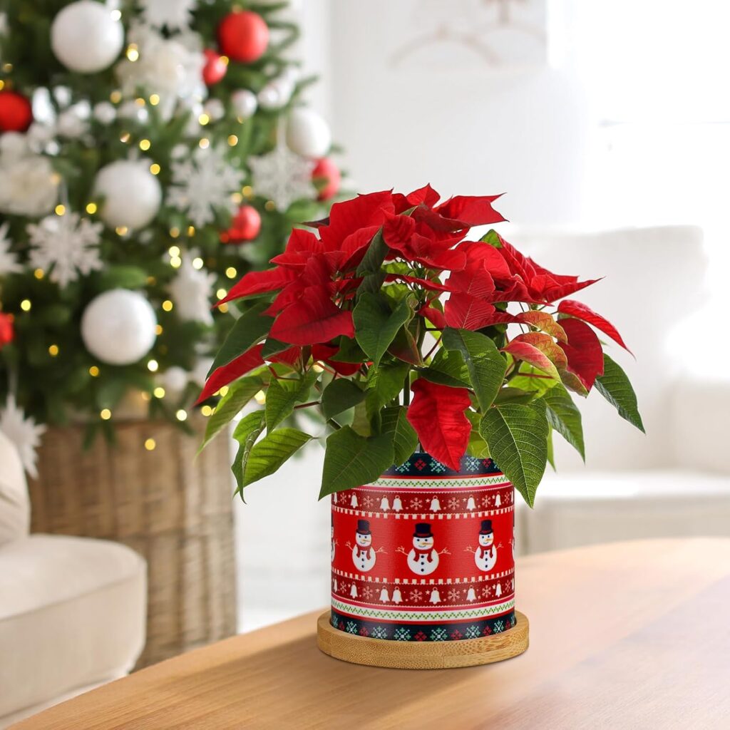 Small Apartment Christmas Decor with Seasonal Planters
