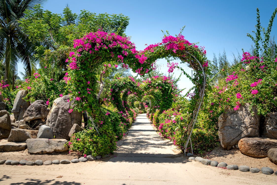 DIY Garden Arches Ideas