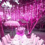 Pink Winter Wonderland Baby Shower Ideas