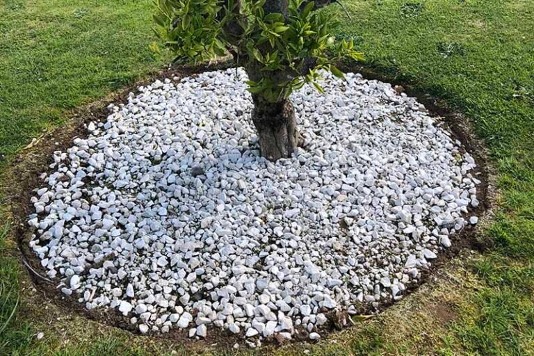 13 Simple White Rocks Landscaping Ideas - My Besuited Home