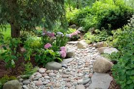 Xeriscaping Ideas on a Budget