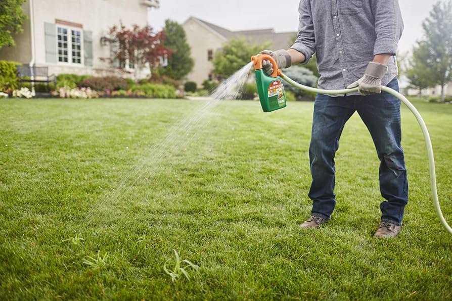 Best Crabgrass Killer And Preventers