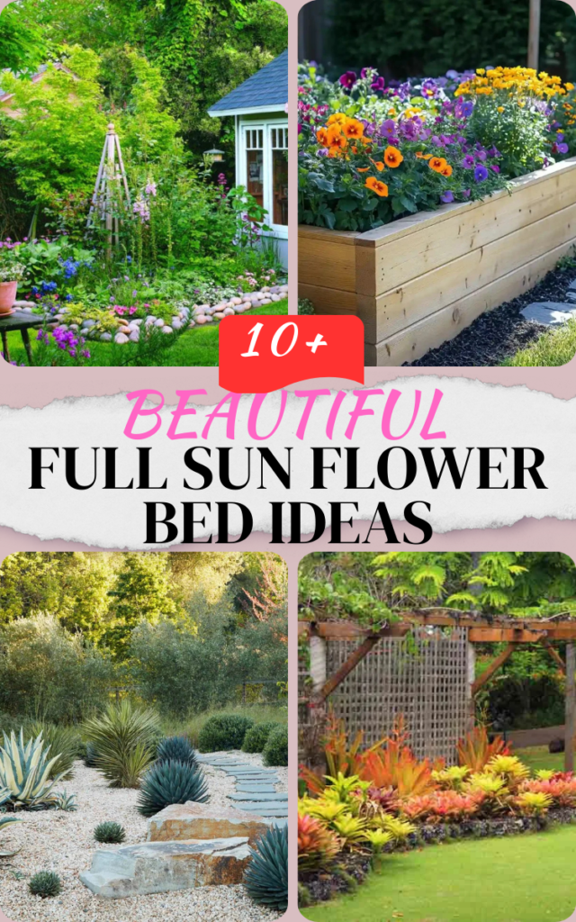 15 Full Sun Flower Bed Ideas to Make Your Garden Bloom Brilliantly