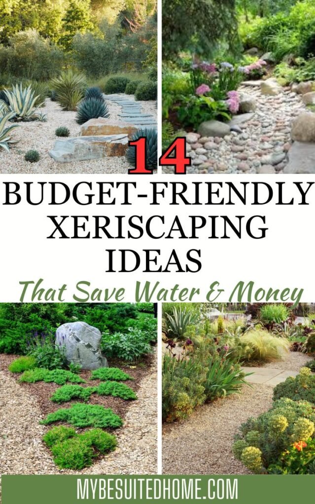 Xeriscape front yard ideas on a budget