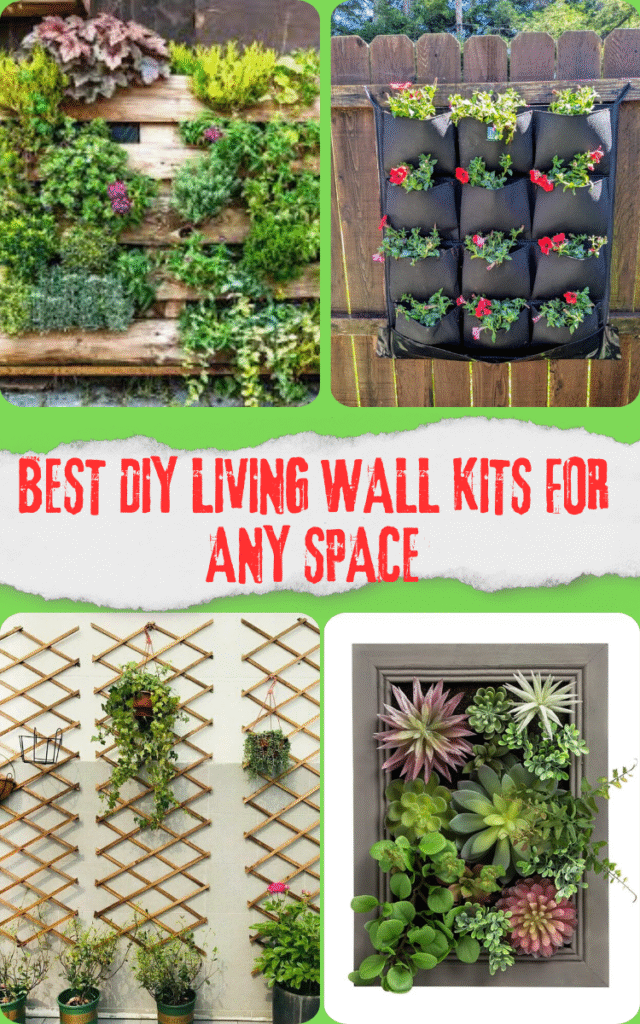 Best DIY Living Wall Kits for Any Space