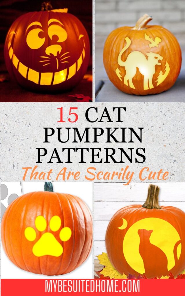 Cat Pumpkin Patterns That Are Scarily Cute