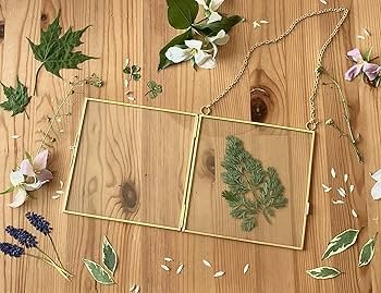 Pressed Wildflower Frame Ideas