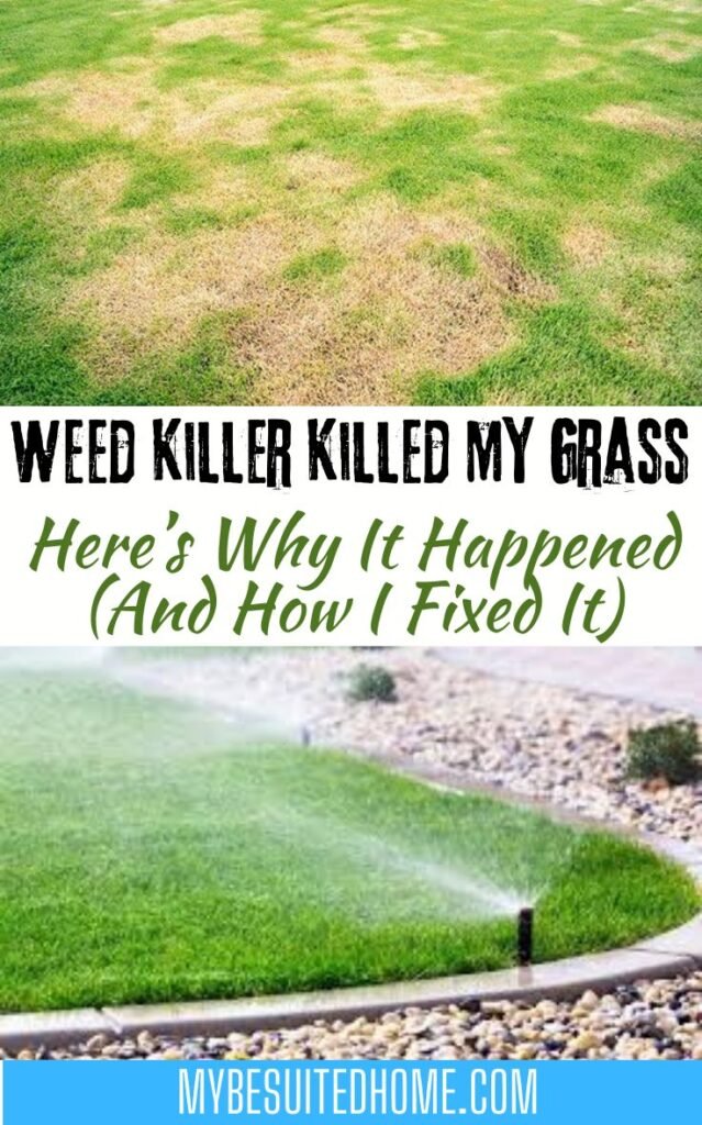 Weed Killer Killed My Grass—Here’s Why It Happened (And How I Fixed It)