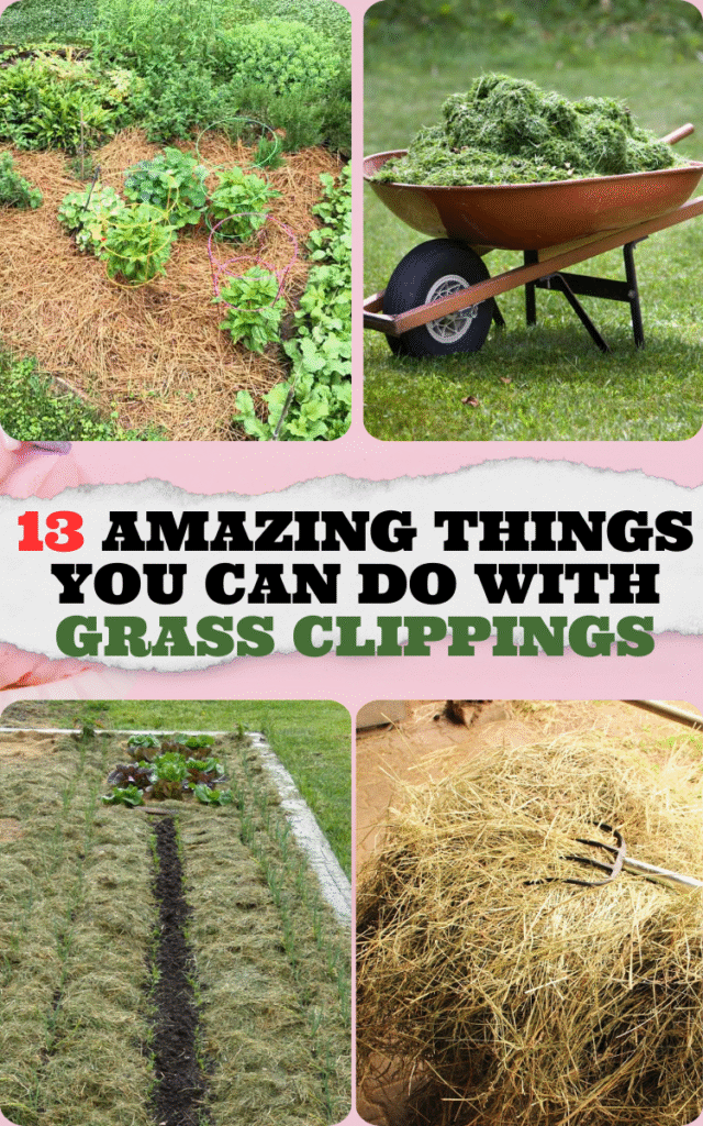 13 Amazing Things You Can Do With Grass Clippings