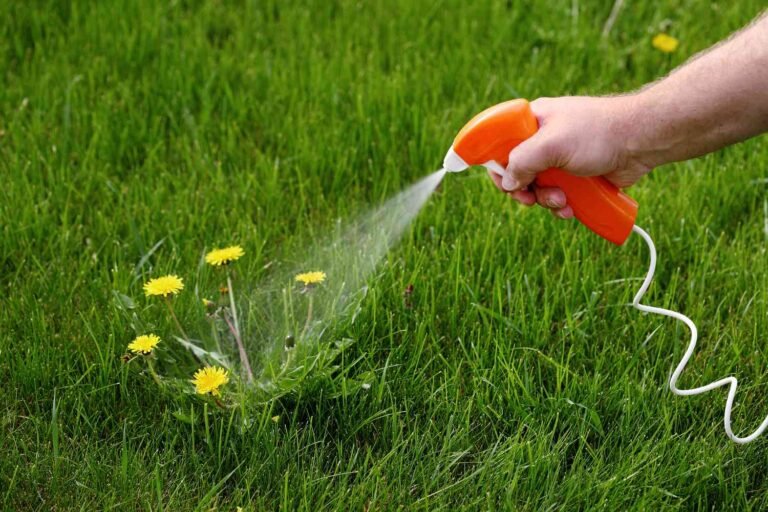 How To Make Weed Killer Recipe With Vinegar, Salt, And Dawn - My ...