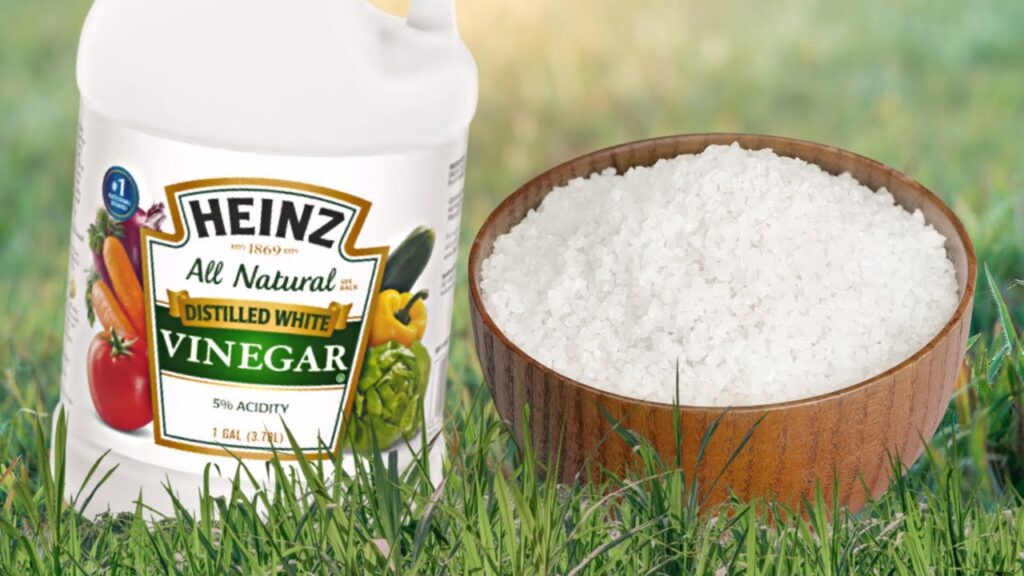 Vinegar and Salt Spray weed killer