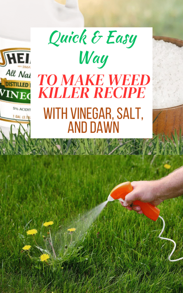 How to Make Weed Killer Recipe with Vinegar, Salt, and Dawn