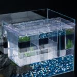 Best Commercial Fish Breeding Tanks