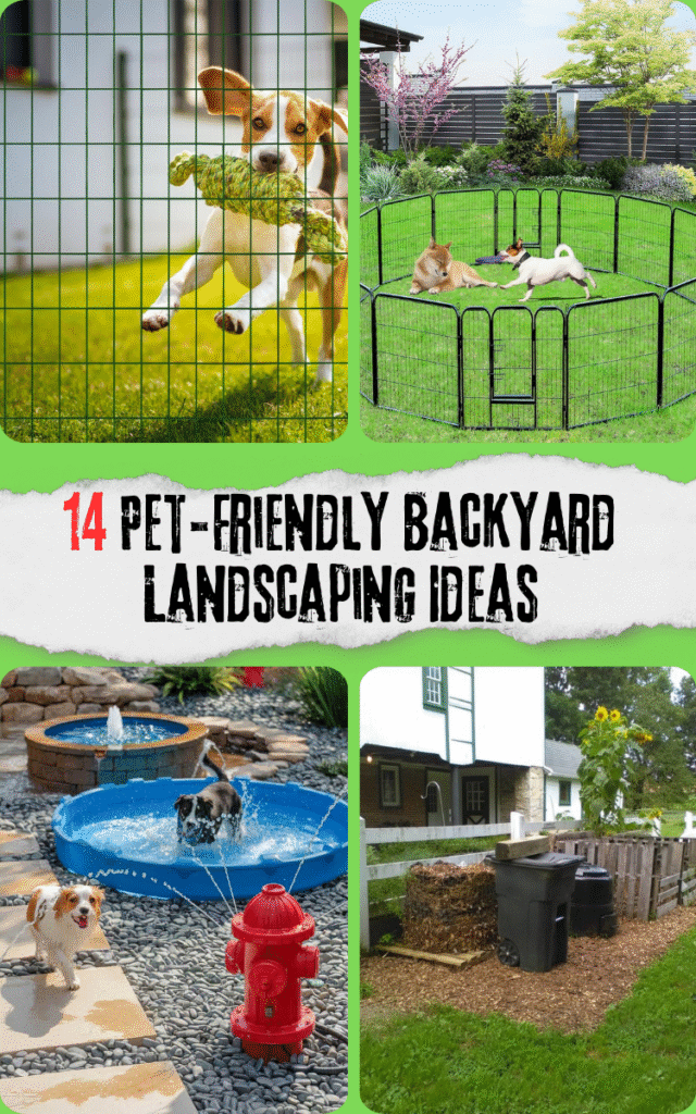 Pet-Friendly Backyard Landscaping Ideas