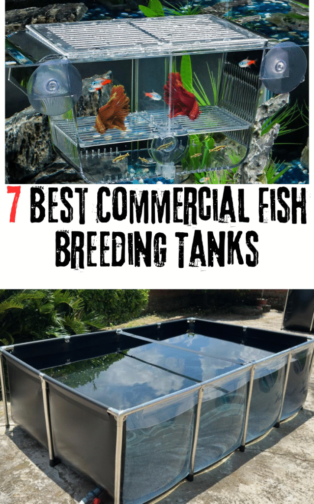 7 Best Commercial Fish Breeding Tanks