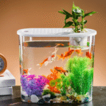 Creative Aquaponic Gardening Ideas