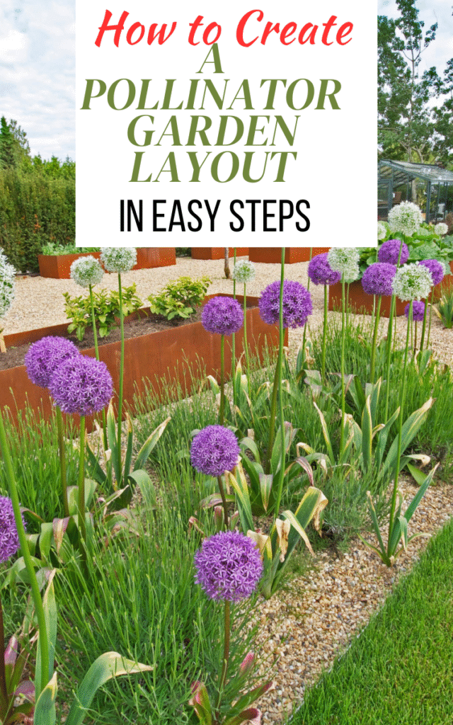 How to Create a Pollinator Garden Layout in Easy Steps