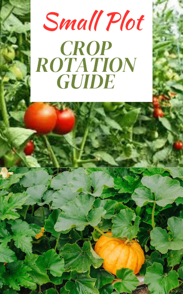 Small Plot Crop Rotation Guide