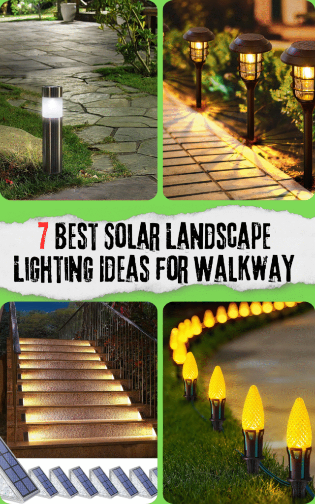 7 Best Solar Landscape Lighting Ideas for Walkway