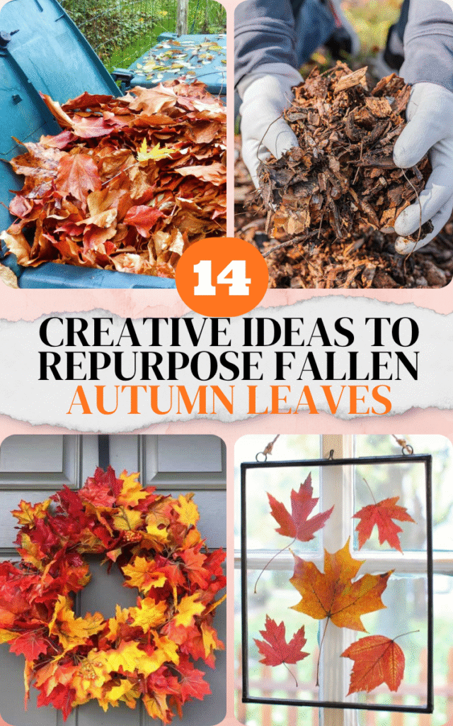 Creative Ideas To Repurpose Fallen Autumn Leaves