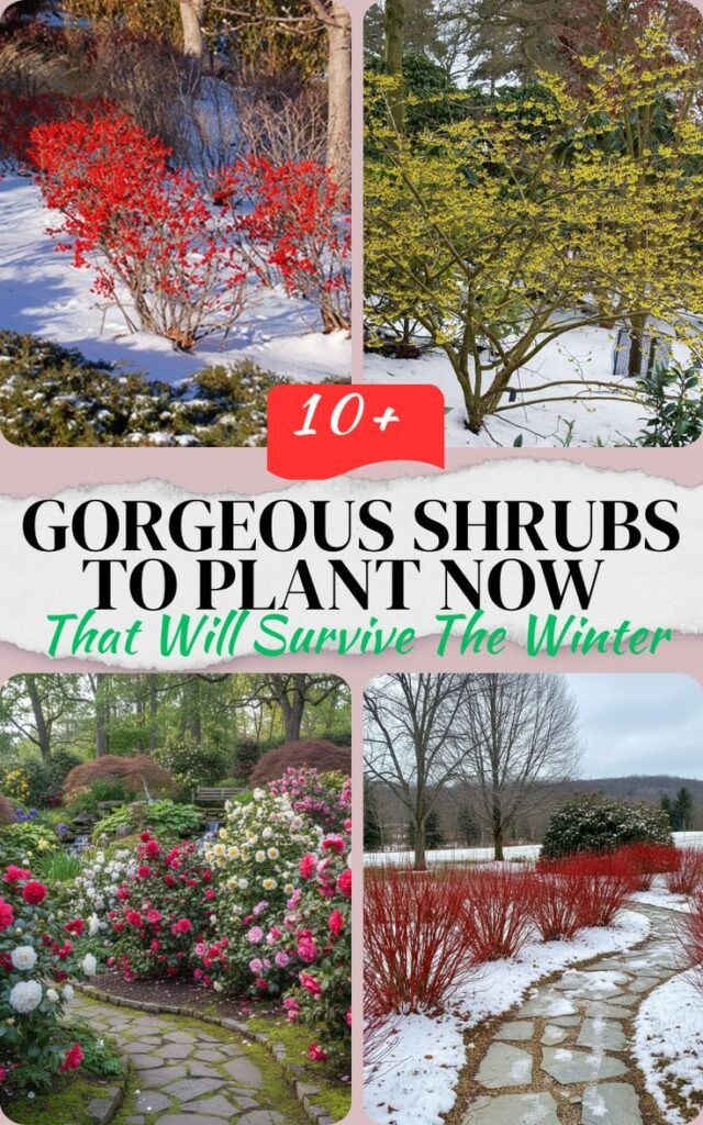 10 Gorgeous Shrubs to Plant Now That Will Survive The Winter