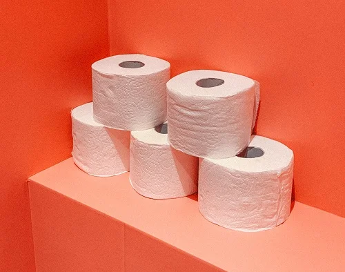 Everything You Need to Know About French Toilet Paper