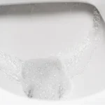 Can Hair Clog a Toilet: Everything You Need to Know