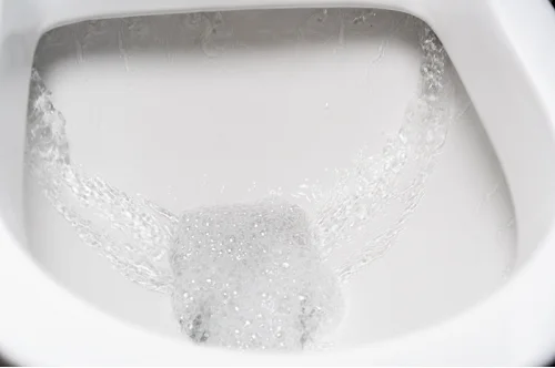 Can Hair Clog a Toilet: Everything You Need to Know