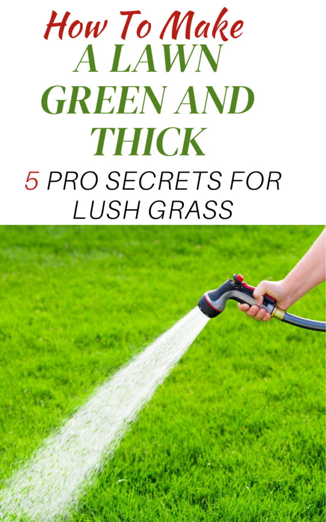 How To Make A Lawn Green And Thick 5 Pro Secrets for Lush Grass