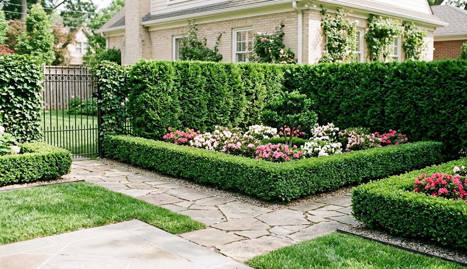 Modern Azalea Landscaping Ideas for Instant Curb Appeal