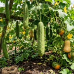 13 Heat-Proof Vegetables That Won't Wilt in July