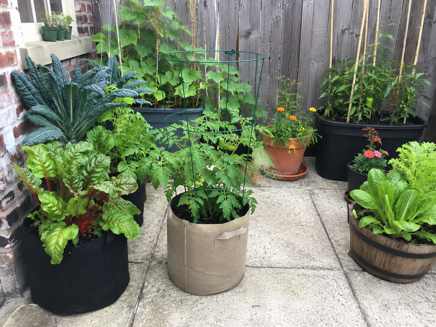 The Botanical Bento How to Grow Veggies in Small Patio Spaces