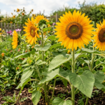 Keystone Plants to Save Your Dying Summer Garden