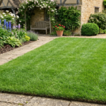 How to Conduct Heat-wave Lawn Care for Ryegrass Survival