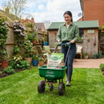 My Organic Lawn Feeding Schedule for Summer