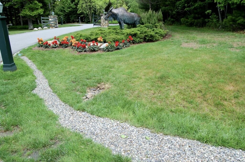 Soil Drainage Solutions for Tropical Gardens (That Actually Work in Heavy Rain)