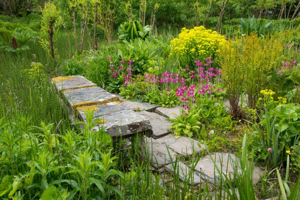 Soil Drainage Solutions for Tropical Gardens (That Actually Work in Heavy Rain)