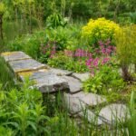 Soil Drainage Solutions for Tropical Gardens